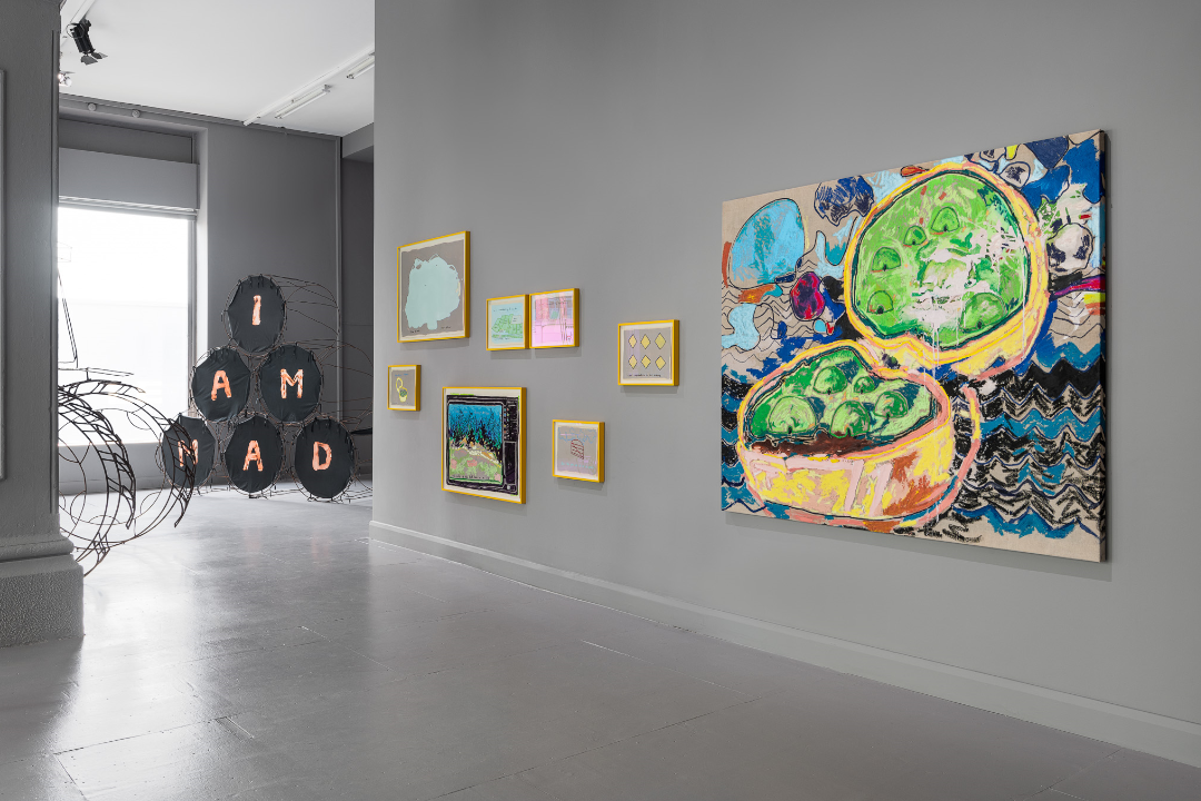 An installation view of Laura Fitzgerald's 'Strange Weather'. Image by Jed Niezgoda.