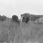 A black-and-white photograph of Seamus o Cinneide taking notes in an overgrown cemetery.